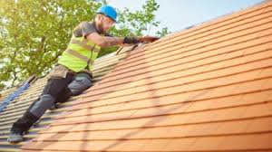 Best Roof Moss and Algae Removal  in Onarga, IL