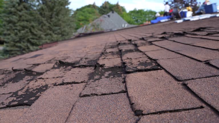 Best Roof Leak Repair  in Onarga, IL