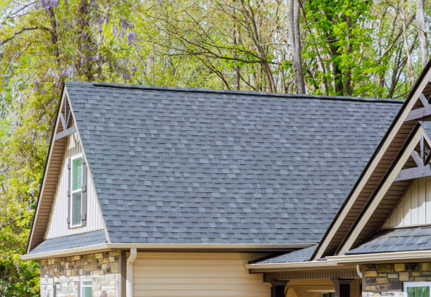 Best Asphalt Shingles Roofing  in Onarga, IL